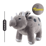 Load image into Gallery viewer, Name Personalized Dinosaur Stuffed Animal Cute T Rex Plush Toy for Boys Girls Birthday Gifts Gray Triceratops